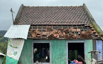 Nhà sập, trâu bò treo... trên cây: Người dân Tây Hòa gánh nỗi lo chồng chất