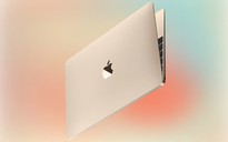 Vì sao Apple quyết tâm ra mắt MacBook rẻ nhất lịch sử?