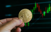 Giá Bitcoin hôm nay 23.11.2025: Nhà đầu tư đang đi trên băng mỏng