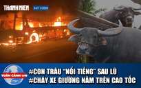 Toàn cảnh 17h: Trâu lạc trên nóc nhà đưa xuống ra sao; Lũ miền Trung hiếm gặp trong 50 năm qua, vì sao?