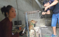 Nhức nhối trộm chó, mèo ở TP.HCM - Kỳ 2: Dùng AI tạo chó giả để lừa tiền chuộc