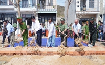 Cùng người dân vùng lũ dựng lại nhà kịp đón tết