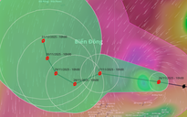 Dự báo kịch bản xấu bão số 15 không đổi hướng, đi thẳng Gia Lai, Khánh Hòa