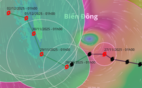 Bão số 15 mạnh cấp 12, giật cấp 15