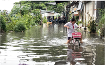 Bão số 15, Hồ Dầu Tiếng xả lũ: TP.HCM có nguy cơ ngập sâu?