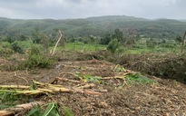 Trước bão số 15: Đắk Lắk khẩn cấp di dời 13 hộ dân do sạt lở núi