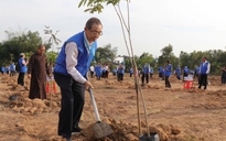 Vườn cây Đại đoàn kết: Dấu ấn xanh chào mừng Đại hội MTTQ Việt Nam TP.HCM