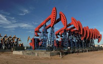 Giá xăng dầu hôm nay 29.11.2025: Thế giới giảm, xăng trong nước dự báo tăng