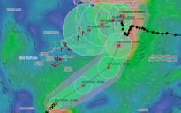Áp thấp nhiệt đới 'độc lạ nhất lịch sử' vào Biển Đông, bão số 15 'đi chậm'