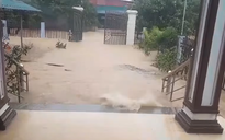 Quảng Trị: Miền núi sạt lở hàng chục điểm, tàu chìm do mưa lớn