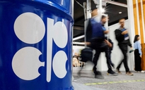 Giá xăng dầu hôm nay 3.11.2025: Bật tăng sau quyết định của OPEC+