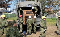 Gấu tấn công người liên tục, Nhật Bản điều binh lính hỗ trợ bắt