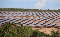 6 tổ 'đặc nhiệm' của Lâm Đồng gỡ vướng 'dự án treo'