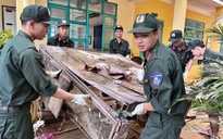 Đà Nẵng cho học sinh nghỉ học từ chiều mai để ứng phó bão Kalmaegi