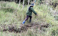 Quảng Ngãi: Khẩn cấp di dời 188 người dân vì vết nứt lớn trên sườn núi