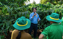 Thu nhập tăng thêm cả trăm triệu đồng nhờ 'trồng cà phê thông minh'