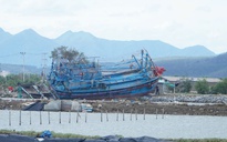 Vùng biển Gia Lai hoang tàn sau bão Kalmaegi