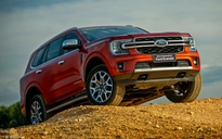 Vì sao động cơ dầu diesel trên ô tô vận hành thường ồn hơn động cơ xăng?