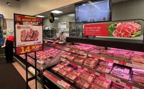 Giá heo hơi hôm nay 7.11.2025: Rớt xuống dưới mốc 50.000 đồng/kg 