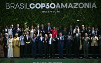 COP30 trông cậy vào sự dũng cảm chính trị
