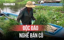 Độc đáo chợ cỏ Ô Lâm, nơi nuôi sống hàng trăm hộ dân vùng Bảy Núi