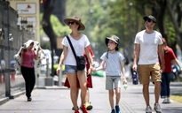 Việt Nam lập kỷ lục đón khách quốc tế, cao nhất lịch sử