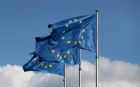 EU đóng băng vô thời hạn tài sản Nga, Moscow phản ứng