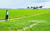 Tiềm năng kinh tế tầm thấp của Việt Nam