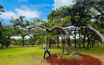 Chấp thuận đầu tư sân golf Đăk Đoa hơn 1.150 tỉ đồng