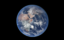 Đã tìm ra tổ tiên duy nhất của mọi loài