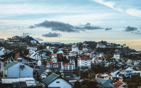 Nhiều khách Việt muốn đi Đà Lạt vào dịp Tết Nguyên đán