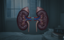 Suy thận: Nhóm người có nguy cơ cao, cách phòng bệnh