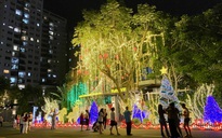 Chụp ảnh Giáng sinh ở ‘phố nhà giàu’