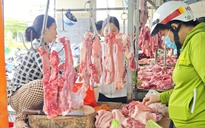 Giá heo hơi hôm nay 20.12.2025: Người chăn nuôi ăn tết lớn
