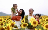 Cánh đồng hoa hướng dương Nghệ An nở rộ: Chụp một tấm ảnh mất cả tiếng