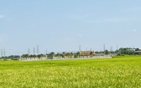 Sở Nông nghiệp - Môi trường lý giải vì sao giá đất nông nghiệp thấp