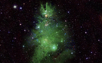 Đêm Giáng sinh 2025, độc lạ 'cây thông Noel' thắp sáng vũ trụ: Bạn có biết?