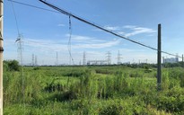 TP.HCM sẽ điều chỉnh tăng giá đất nông nghiệp