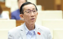 Đại biểu đề xuất gói hỗ trợ các hộ kinh doanh 'mất trắng vì bão lũ'