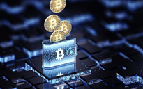 Ví tiền số và niềm tin đều đang bị đánh cắp trong năm 2025