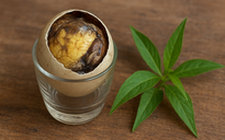 Alo bác sĩ nghe: Ăn trứng vịt lộn có giúp bồi bổ cơ thể?