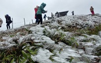 15 tỉnh, thành phải ứng phó không khí lạnh gây rét đậm, rét hại