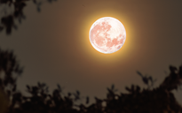 Khoảnh khắc siêu trăng lạnh cuối cùng 2025 trên bầu trời TP.HCM: Đẹp không thể rời mắt