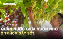 Quán nước giữa vườn nho ở TP.HCM gây sốt