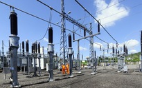 Điện lực miền Nam tổ chức 15.000 ca trực đảm bảo điện phục vụ tết