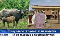 Xem nhanh 12h: Hy hữu chị gái có ‘2 chồng’ vì em mượn tên | Lý do trâu húc người