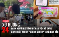 Xu Hướng 24: Đánh người bất tỉnh vì bảo vệ chó cưng | Một người trúng 'sương sương' 13 tờ độc đắc