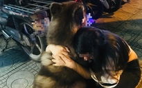 Vụ thả chó chạy rông ở phố đi bộ Nguyễn Huệ: Cần có trách nhiệm với cộng đồng