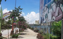 Nội tôi vận động hiến đất trồng cột điện