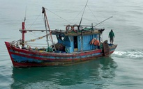 Phát hiện tàu cá dùng giã cào khai thác hải sản trái phép ở Quảng Trị